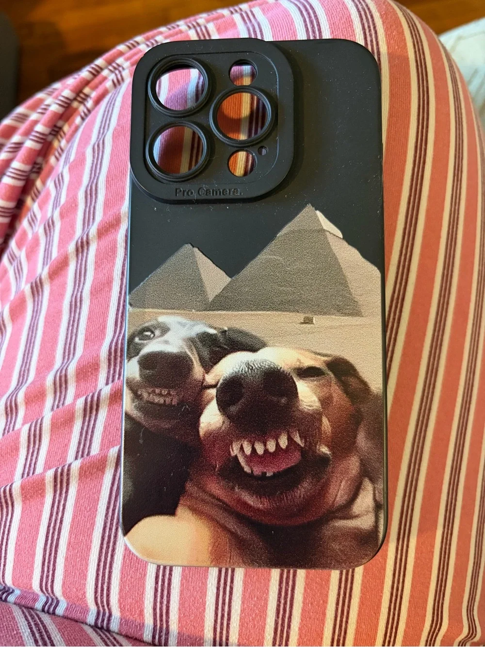Cute Dog Funny Phone Case, Dachshunds, for IPhone 15 pro